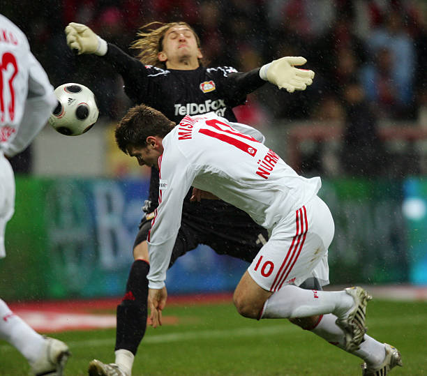 们提供了一 们提供了一